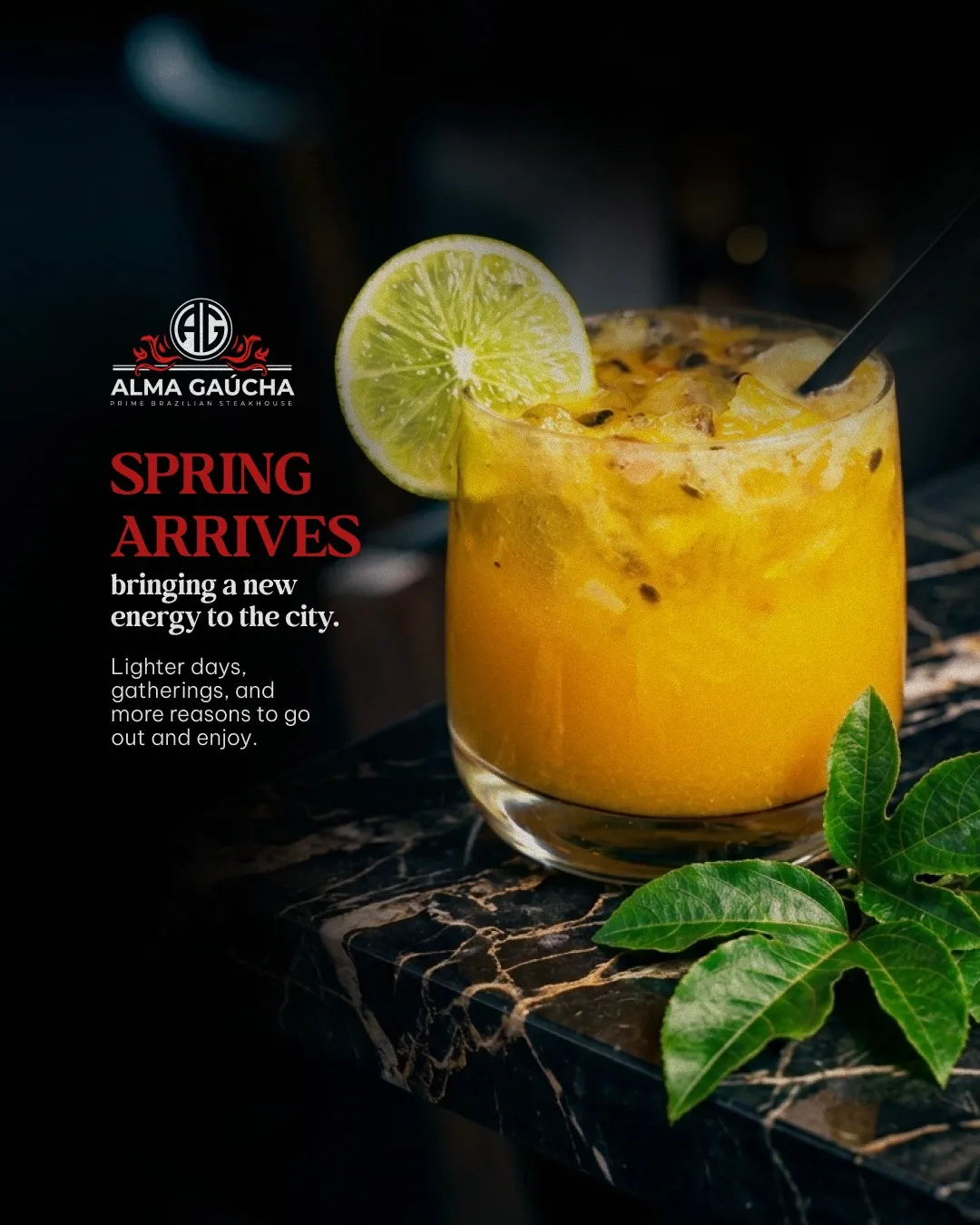 Food & Beverage content production